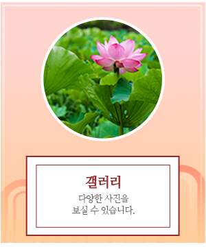 옥황선녀_메인중간_